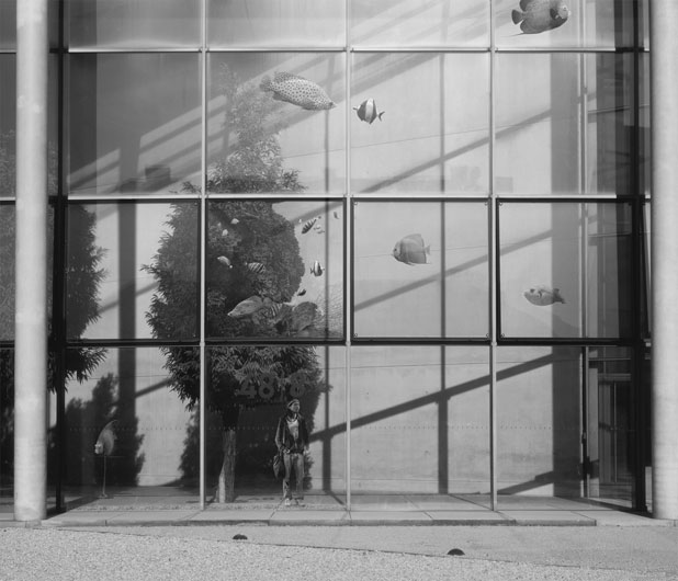 Through the Looking-Glass, 2011, SW Fine Art Print, 120 x 140, Auflage 3 und 50 x 58 cm (Baryt Print), Auflage 6